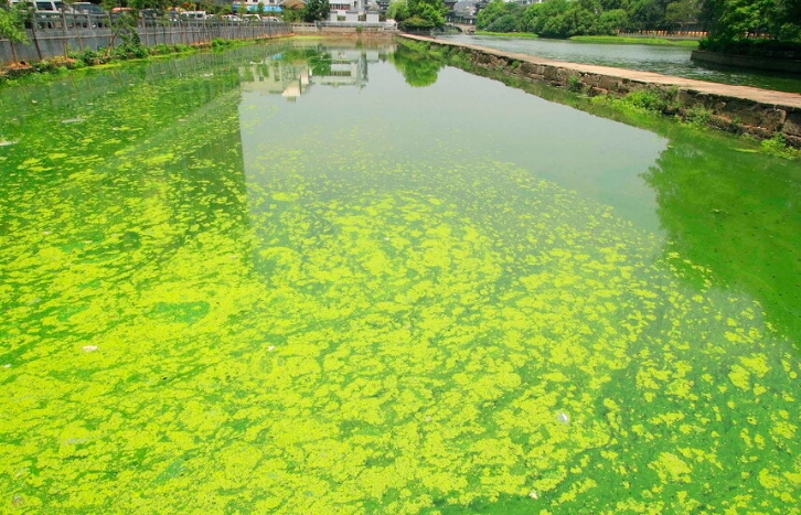 水質(zhì)在線檢測(cè)儀