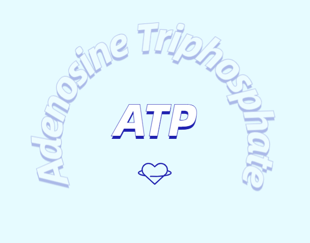 ATP 補充劑有什么作用？