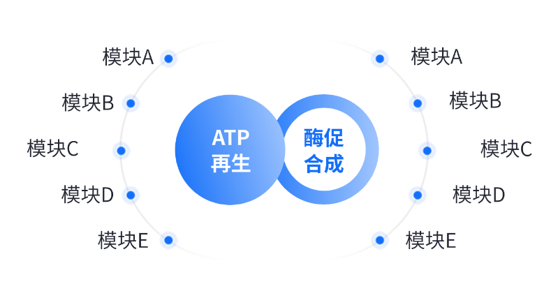 酶法生產(chǎn)應用領(lǐng)域