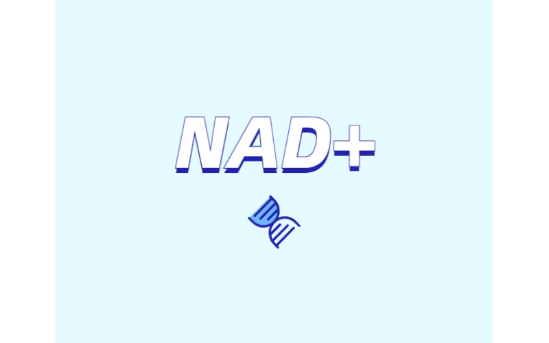 NAD與NMN的全新概念？